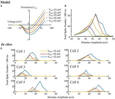 Erratum: Mediating Retinal Ganglion Cell Spike Rates Using High-Frequency Electrical Stimulation